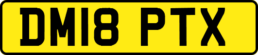 DM18PTX