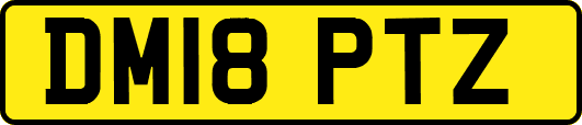 DM18PTZ