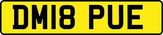 DM18PUE