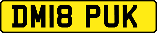 DM18PUK