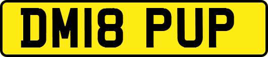 DM18PUP