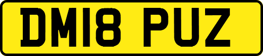 DM18PUZ