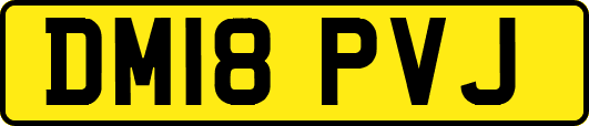 DM18PVJ