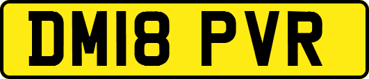 DM18PVR