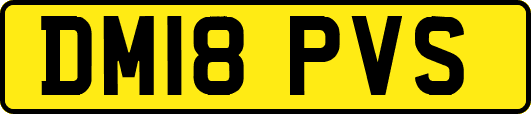 DM18PVS