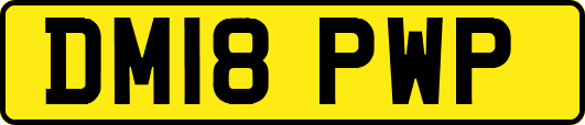 DM18PWP