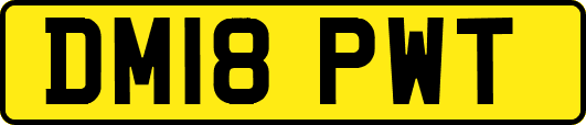 DM18PWT