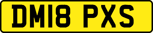 DM18PXS