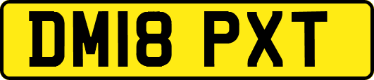 DM18PXT