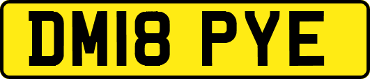 DM18PYE