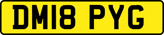 DM18PYG
