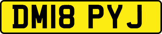 DM18PYJ