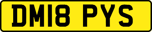 DM18PYS