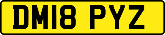 DM18PYZ