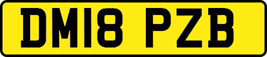 DM18PZB