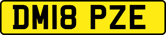 DM18PZE