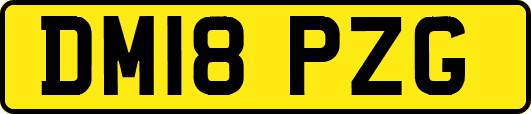 DM18PZG