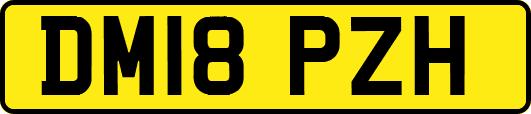 DM18PZH