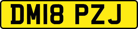 DM18PZJ