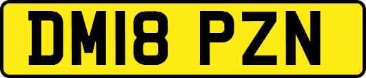 DM18PZN