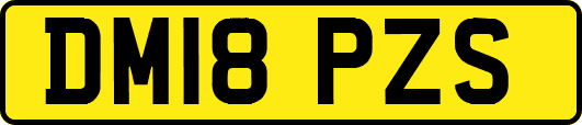 DM18PZS