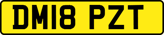 DM18PZT