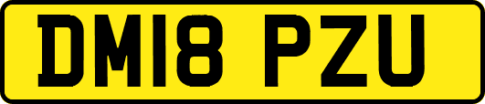 DM18PZU
