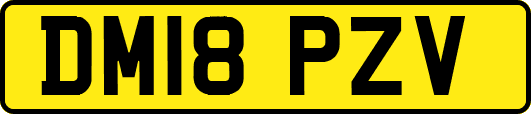 DM18PZV