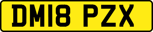 DM18PZX