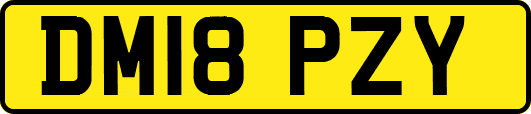 DM18PZY
