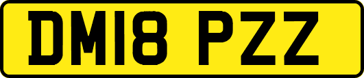 DM18PZZ