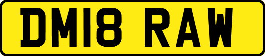 DM18RAW