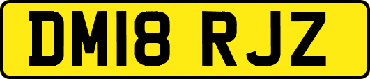 DM18RJZ
