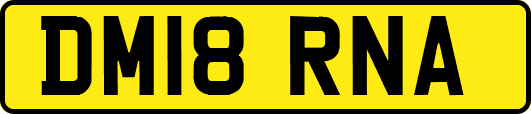 DM18RNA