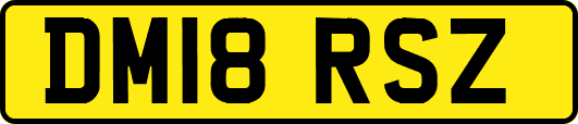 DM18RSZ