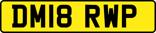 DM18RWP