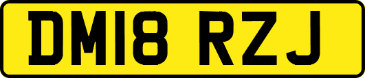 DM18RZJ