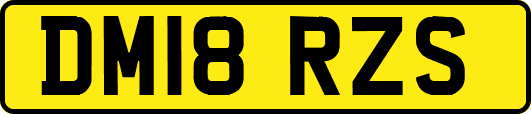 DM18RZS