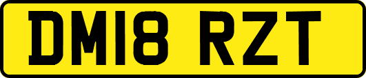 DM18RZT