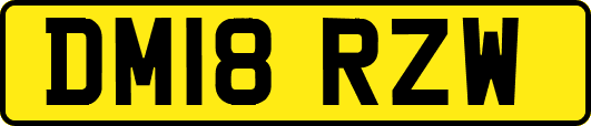 DM18RZW
