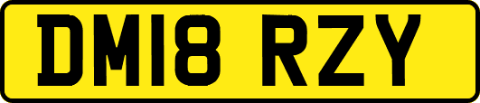 DM18RZY