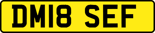 DM18SEF