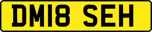 DM18SEH