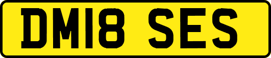 DM18SES