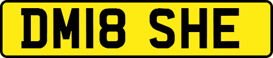 DM18SHE