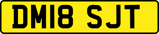 DM18SJT