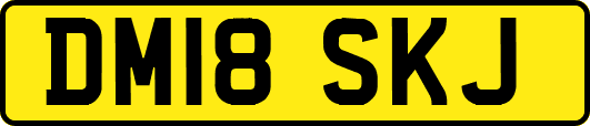 DM18SKJ