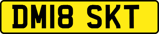 DM18SKT