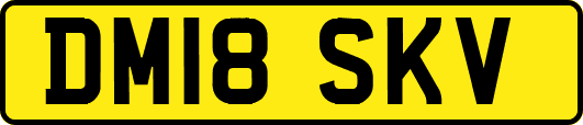 DM18SKV