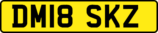 DM18SKZ